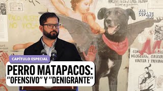 Boric reniega del Perro Matapacos en cadena nacional de la Archi