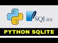 Python SQLite Database | Step-by-Step Guide for Beginners!