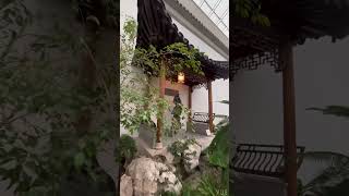 纽约大都会博物馆 把苏州园林整个搬进来了/The Met An exact replica of the beautiful Suzhou gardens(2023.02.19)