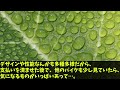 【海外の反応】「まさかこんなにも差があるなんて…」ホンダと韓国のバイクを試乗したイタリア人がその差に絶句w【日本のあれこれ】