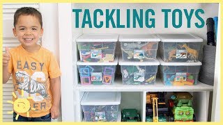 ORGANIZE | Tackling the Toys!