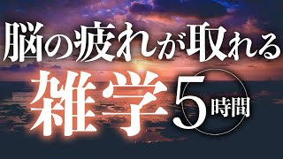 【睡眠導入】脳の疲れが取れる雑学5時間【合成音声】