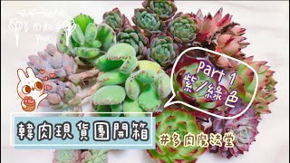 多肉開箱筆記-宅在家卻還是買爆⋯多肉魔法堂現貨團又來啦!Part-1紫綠色系💜💚