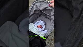 Taking my Reborn out for a walk?!