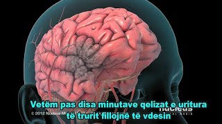 SULMI HEMORRAGJIK TRUROR - ANIMACION 3D