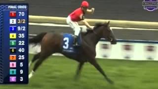 2014 Canadian Stakes - Deceptive Vision