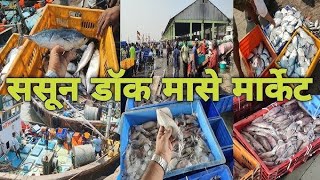 Sasoon Dock Wholesale Fish Market | colaba fish market | मुंबईतील सर्वात स्वस्त मच्छी मार्केट 🦐🐟