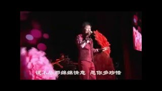 [羅賓] 願你莫忘記 -- 羅賓 Robin 38 你儂我儂演唱會 2015 (Offcial Concert Video)