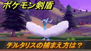 ポケモン剣盾　チルタリスを捕まえる方法！オススメの場所は？天気は？ポケモン図鑑コンプへの道！　最新版【ポケモンソード・シールド】