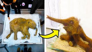 15 Extinct Animals That May Actually Still Be Alive