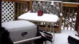 Ice pellets falling from the sky