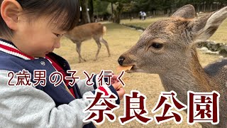 2歳男の子と行く！奈良公園で過ごす1日vlog | Nara trip