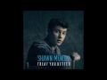 Shawn Mendes - Treat You Better
