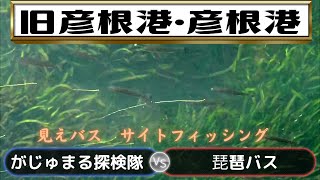 バス釣り 旧彦根港で1日粘った結果…[琵琶湖]