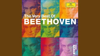 Beethoven: Violin Sonata No. 5 in F Major, Op. 24 "Spring": IV. Rondo (Allegro ma non troppo)
