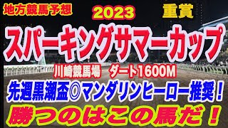 【 スパーキングサマーカップ2023 予想 】地方競馬予想！本命馬はこの馬だ！