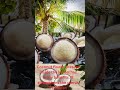 coconut flower benefits coconut flower for women @prasha696