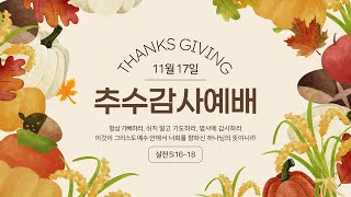 2024.11.17 더채움교회 오후 예배(추수감사절 찬양축제)