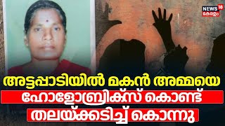 അട്ടപ്പാടിയില്‍ മകന്‍ അമ്മയെ ഹോളോബ്രിക്‌സ് കൊണ്ട് തലയ്ക്കടിച്ച് കൊന്നു | Attappadi Murder| Palakkad