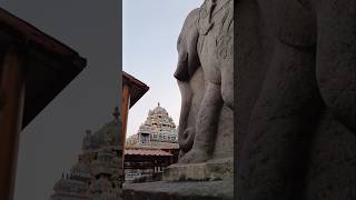 @2day-in Arunachaleshwar Temple Thiruvannamalai #hindutemple #lordshiva | Pancha Bhuta Sthala