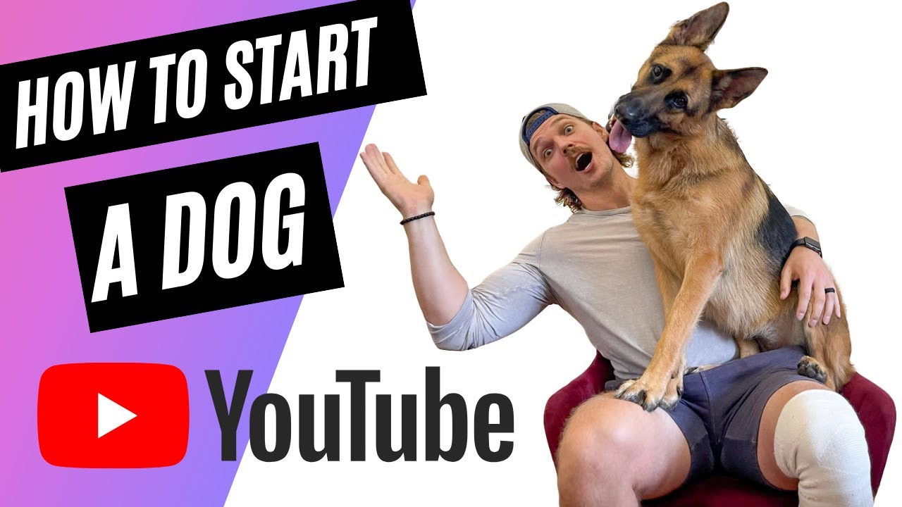 How To Start A Dog Youtube Channel Starting A Youtube Channel 2021