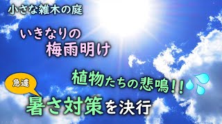 【猛暑到来】ミストシャワー・日除けで、庭の植物たちを守る！　猛暑で植物たちを枯らせないように早めの対策を！