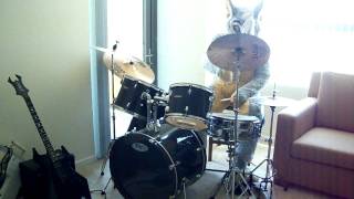 Drumming in Full fursuit