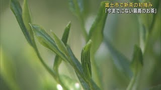 新茶の初摘み「今までにない最高のものが。新しいお茶の世界を」　静岡・富士市