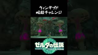 【ティアキン】クィンギブドさん、通りすがりの蛮族に氷柱割りで瞬殺されてしまう【ゼルダの伝説 ティアーズ オブ ザ キングダム】#shorts