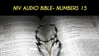 NUMBERS 15 NIV AUDIO BIBLE (with text)