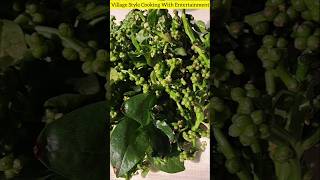 Malabar Spinach Flower and  Seeds 💞 #shortsfeed #viralvideo #shortvideo #shorts