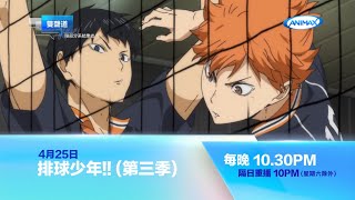 Animax《4月強檔動畫》