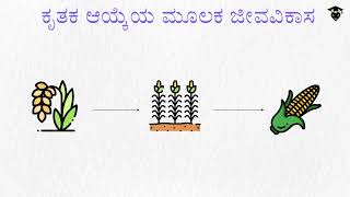 ಆನುವಂಶೀಯತೆ ಮತ್ತು ಜೀವವಿಕಾಸ - ಕೃತಕ ಆಯ್ಕೆಯ ಮೂಲಕ ಜೀವವಿಕಾಸ | ಜೀವಶಾಸ್ತ್ರ | ಸ್ಮಾರ್ಟ್ಟೆನ್ | SmarTEN