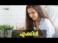 ഇറച്ചി കഴിച്ചാൽ അലർജിയുണ്ടാ എക്കിളും വിസർപ്പവും പ്രശ്നക്കാരാണോ ഈ പൊടിക്കൈകൾ നോക്കൂ...