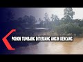 Pohon Tumbang Diterjang Angin Kencang