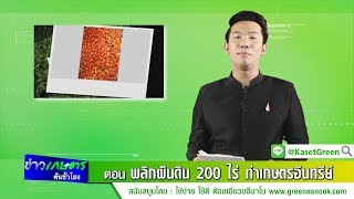 ข่าวเกษตรต้นชั่วโมง ตอน พลิกผืนดิน 200 ไร่ ทำเกษตรอินทรีย์