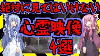 【閲覧注意】絶対に見てはいけない心霊映像が本当に怖すぎた【ボイロ解説】