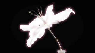 Dove - Doll ver (Best part loop) Slowed