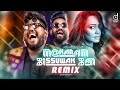 Meka Nam Pissuwak Bun (Remix) - Anushka Udana (Wasthi) | DJ EvO | Sinhala Remix Songs | Sinhala DJ
