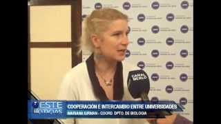 CONVENIO MARCO ENTRE UNIVERSIDADES - MARIANA IURMAN PROFESORA CONVENIO MARCO ENTRE UNIVERSIDADES - MARIANA IURMAN PROFESORA