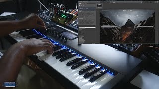 Checking out Native Instruments Ashlight Kontakt Library