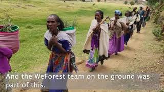 WeForest participates in Ethiopia´s 4 billion trees initiative