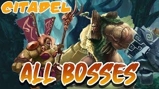 Sacred Citadel  + DLC - All Bosses + Ending