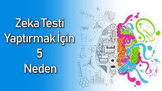 ZEKA TESTİ YAPTIRMAK İÇİN 5 NEDEN