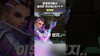 성대모사 하다가 솜브라 만났습니다ㅋㅋㅋ #shorts