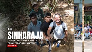 Exploring the MYSTERIOUS Sinharaja Rain Forest. | VLOG 03