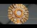 MID-DAY ADORATION OF THE BLESSED SACRAMENT || DROP YOUR PETITIONS BEFORE JESUS || 8TH JUNE 2026.