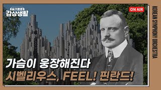 가슴이 웅장해진다💛 시벨리우스, FEEL! 핀란드! | 슬기로운 감상생활