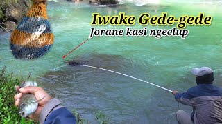 FISHING NILEM WITH THIS GUARANTEE GET BABON | Nutul Melem