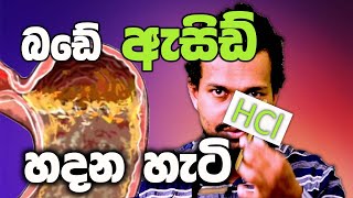 ලෙඩ ගොඩකට අත වනන බඩේ ඇසිඩ් |  The Gastrointestinal System | Sinhala Tutorial | Api Nodanna Beheth